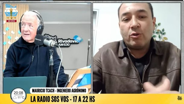 La importancia del algodón en el país