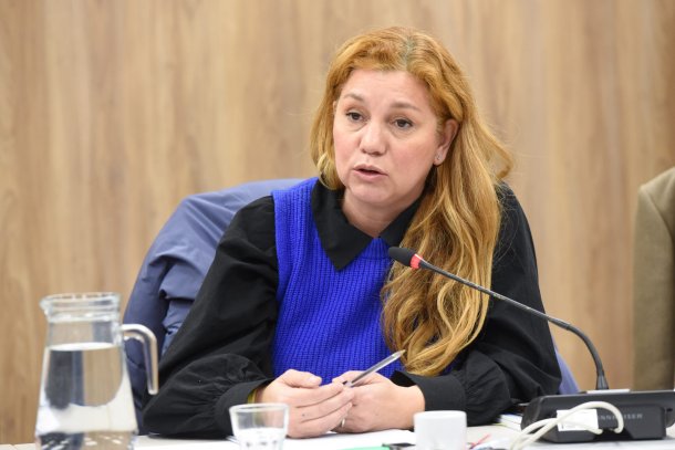 Karina Banfi: “El Jefe de Gabinete tiene que dar un paso al costado, perdió credibilidad”