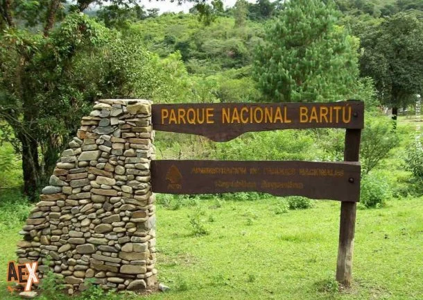 Elio Romero: "El Parque Baritú tiene 72.230 hectáreas y nosotros somos apenas 13 personas para cuidarlo"